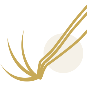 Default icon academy category